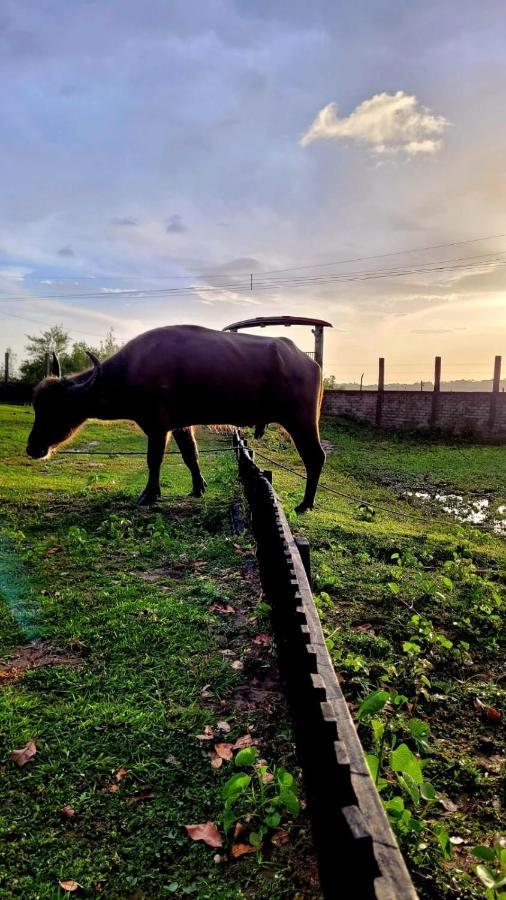 Pousada Marajoara- Hotel Fazenda-Turismo De Aventura Соре Екстер'єр фото