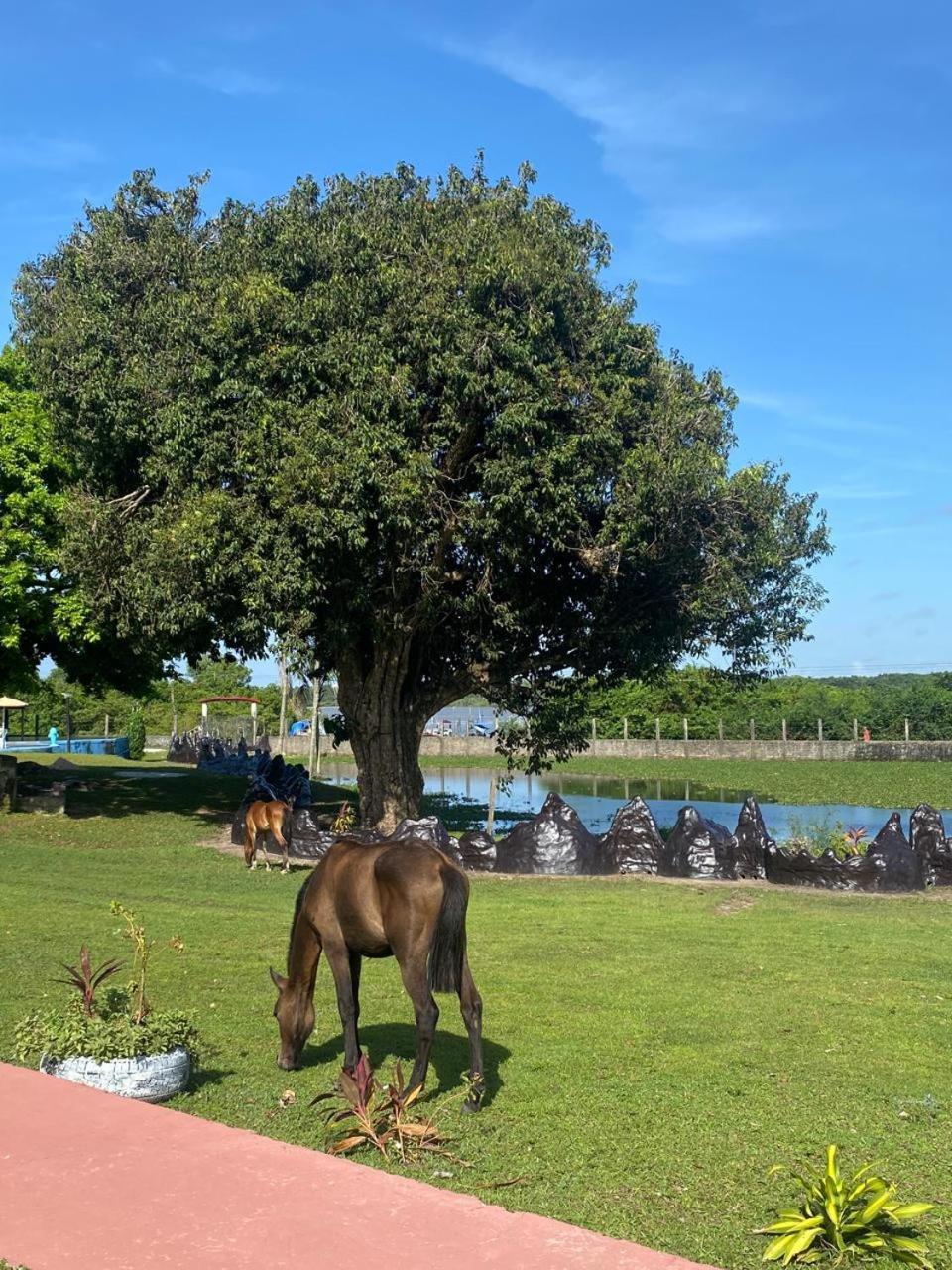 Pousada Marajoara- Hotel Fazenda-Turismo De Aventura Соре Екстер'єр фото