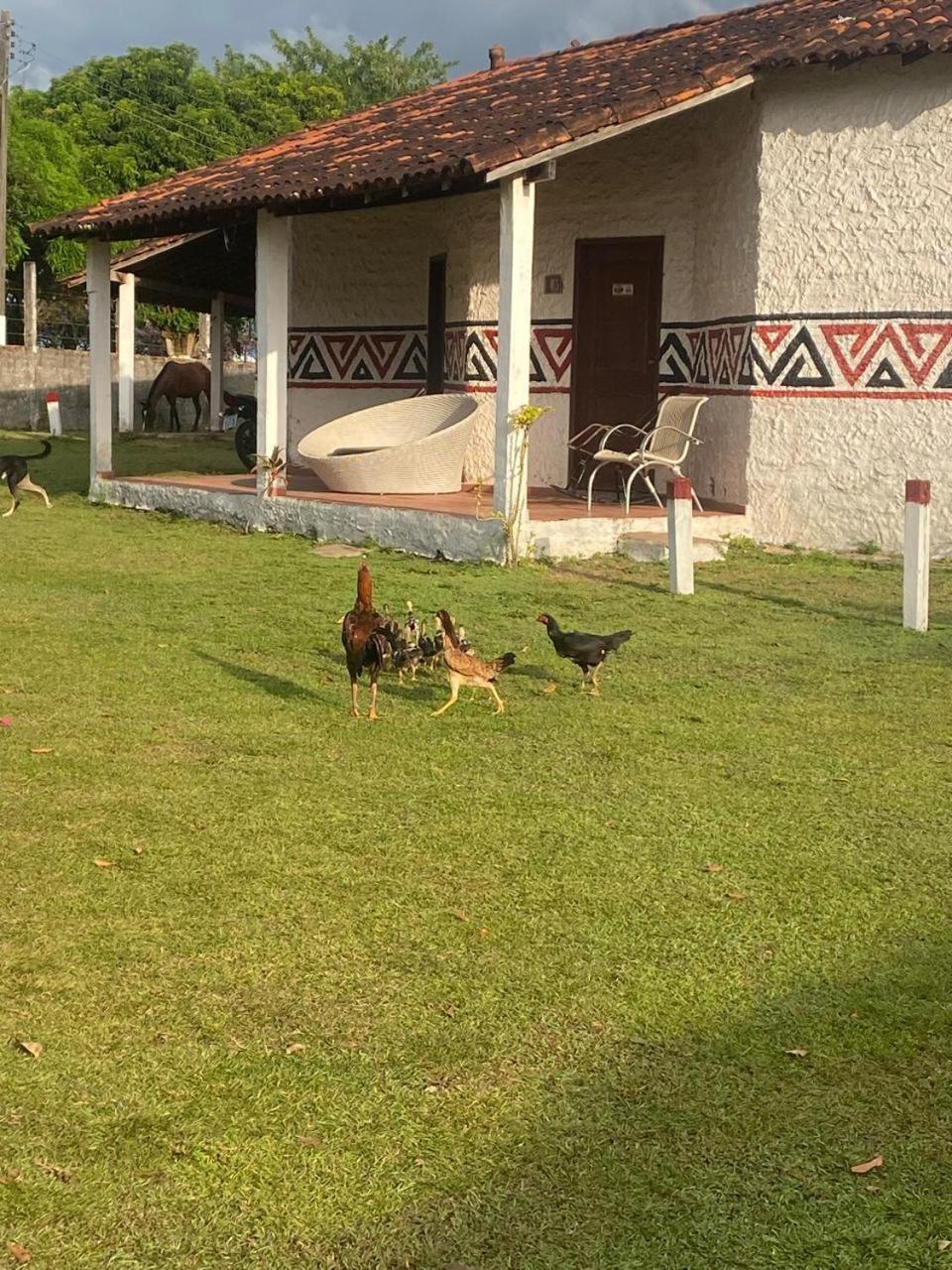 Pousada Marajoara- Hotel Fazenda-Turismo De Aventura Соре Екстер'єр фото